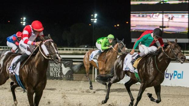 Sigue en directo la jornada nocturna en el Hipódromo de la Zarzuela