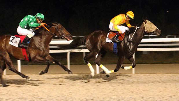 Quinta noche de lleno total en el Hipódromo de la Zarzuela