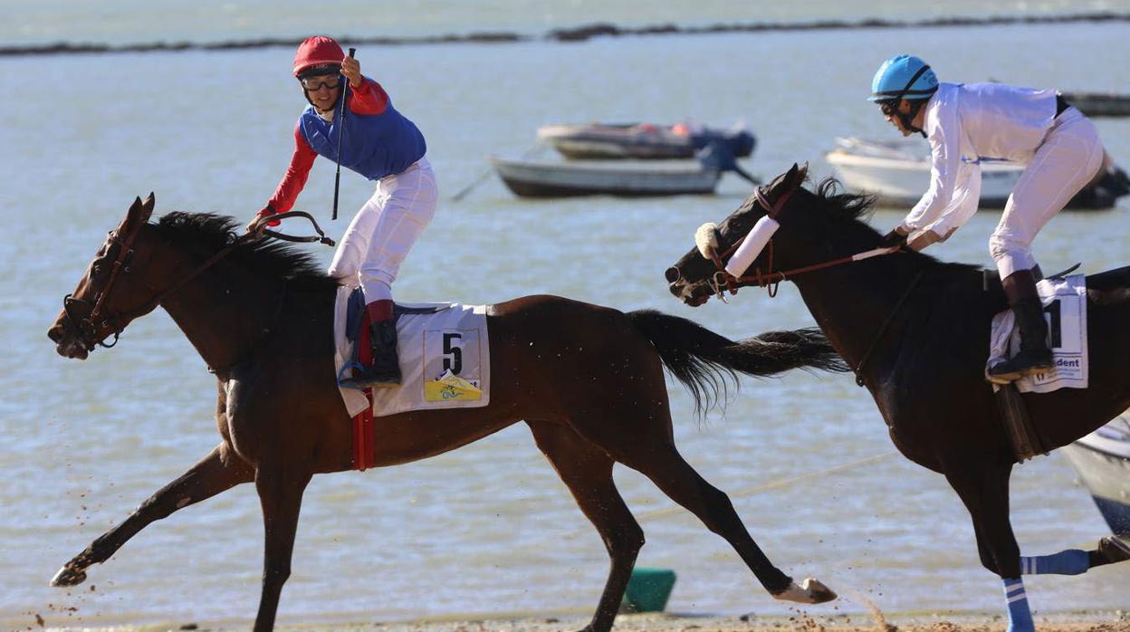 Trece pruebas para cerrar las carreras de caballos de Sanlúcar