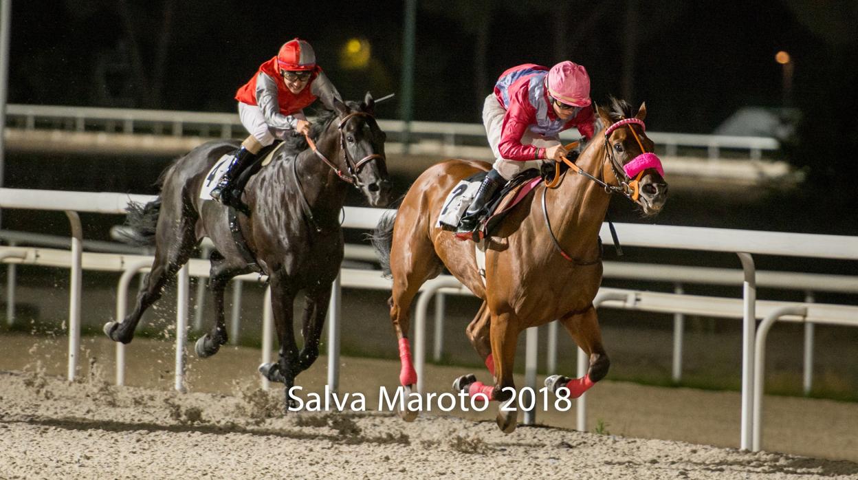 Carrera de caballos en el Hipódromo de La Zarzuela