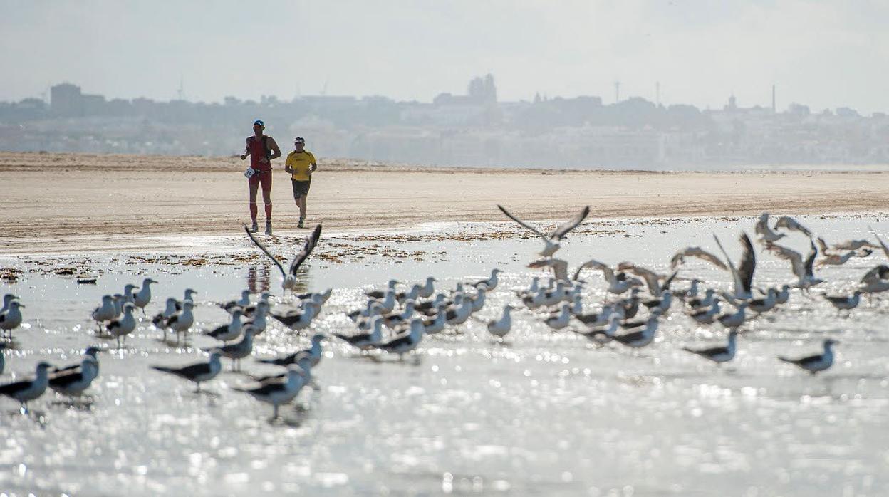 El Desafío Doñana es una de las pruebas más duras de Andalucía.