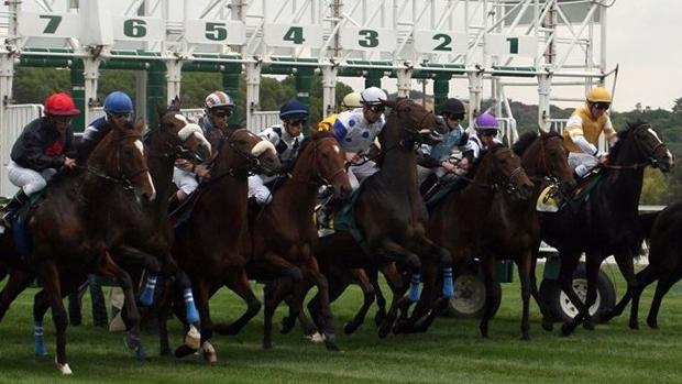 Sigue en directo la primera jornada de la temporada de otoño en el Hipódromo de la Zarzuela