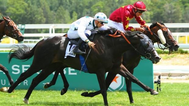 Sigue en directo las carreras de caballos en el Hipódromo de La Zarzuela