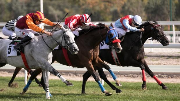 Sigue en directo la jornada en el Hipódromo de la Zarzuela