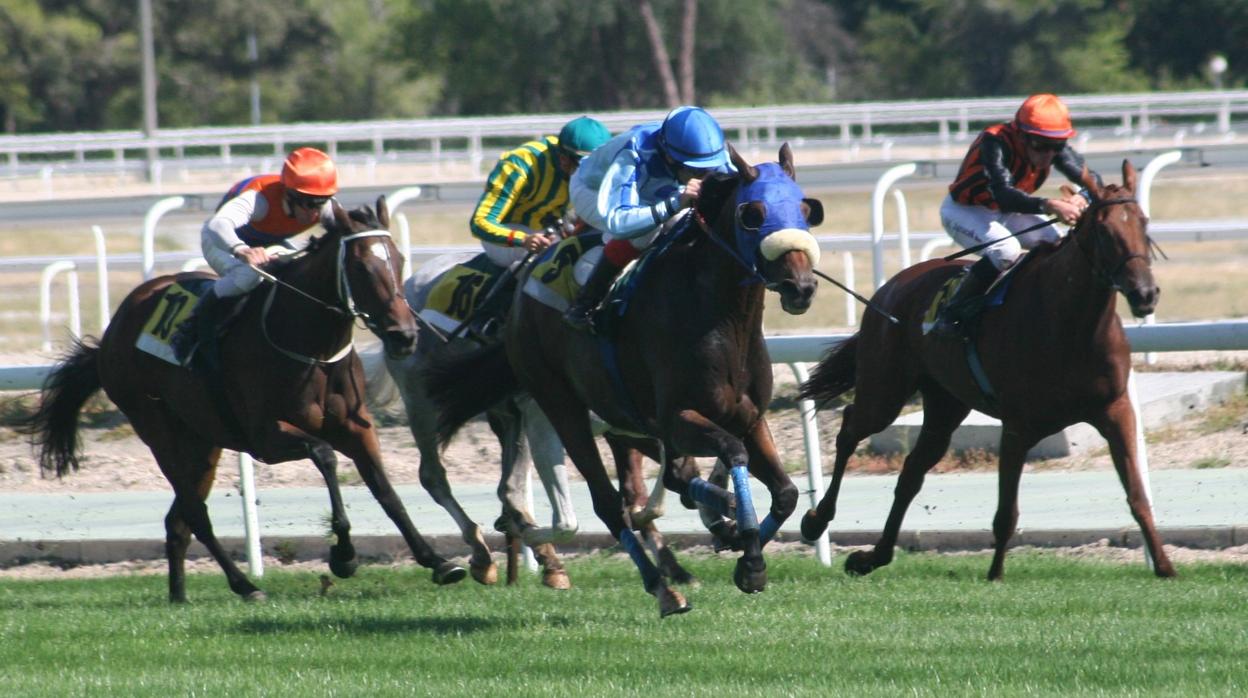 Carreras de caballos en el Hipódromo de la Zarzuela