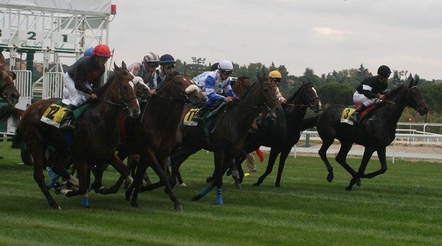 Sigue en directo las carreras de caballos en el Hipódromo de La Zarzuela