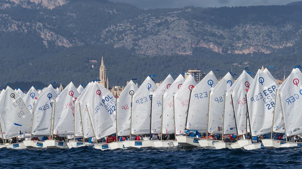 El maltés Schultheis impone su ley en la primera jornada del 68 Trofeo Ciutat de Palma