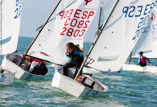 Arturo Arauz coge el liderato de la Excellence Cup de Optimist en la bahía de Cádiz