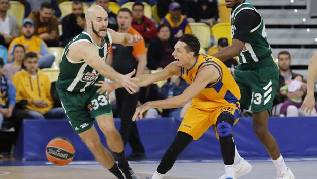 Gran Canaria sufre su novena derrota seguida en un buen debut de Wiley