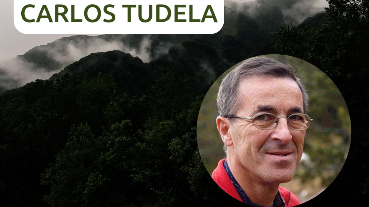 Muere en accidente de montaña Carlos Tudela, referente del alinismo valenciano