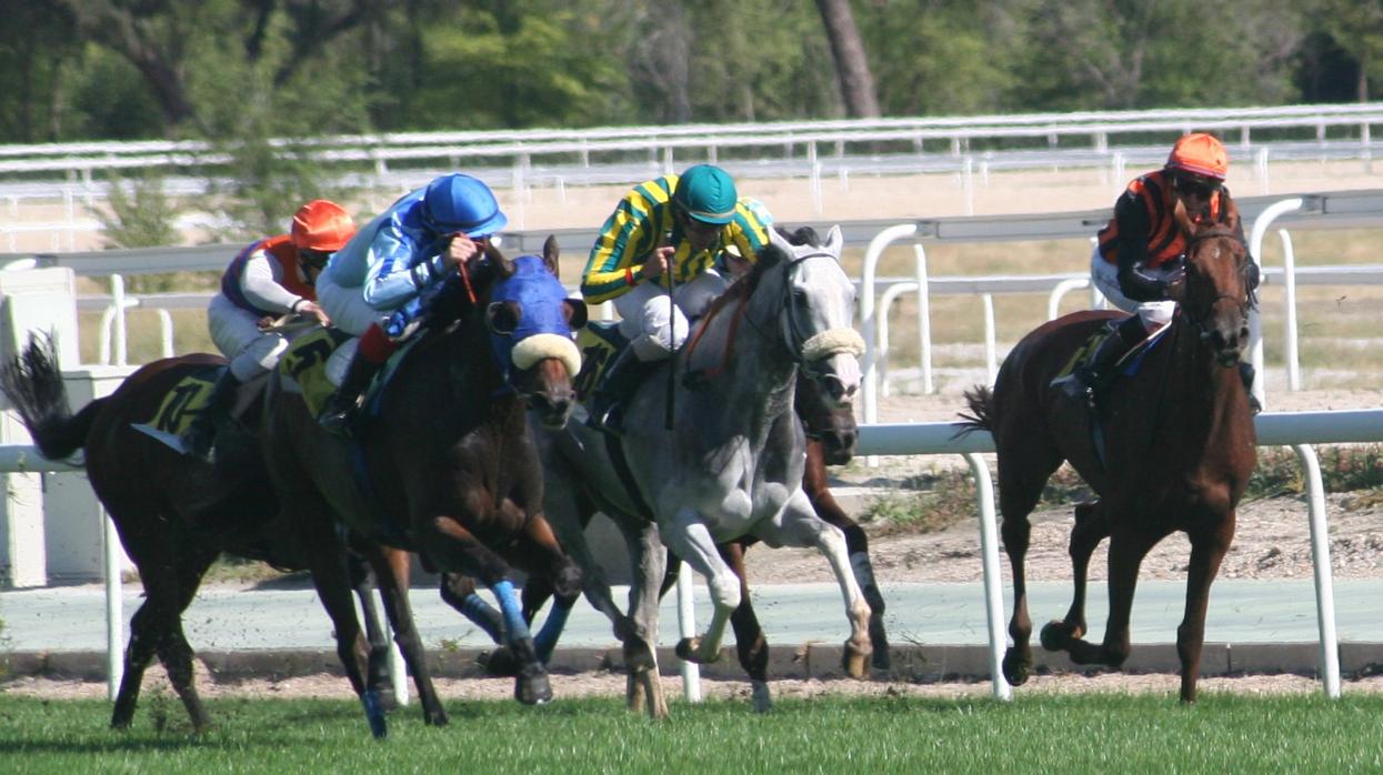 Carreras de caballos en el Hipódromo de la Zarzuela