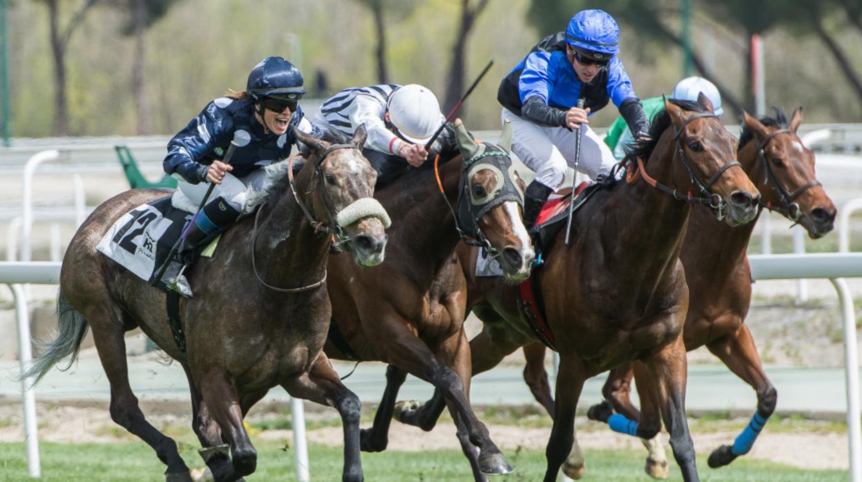 Carreras de caballos en el Hipódromo de la Zarzuela