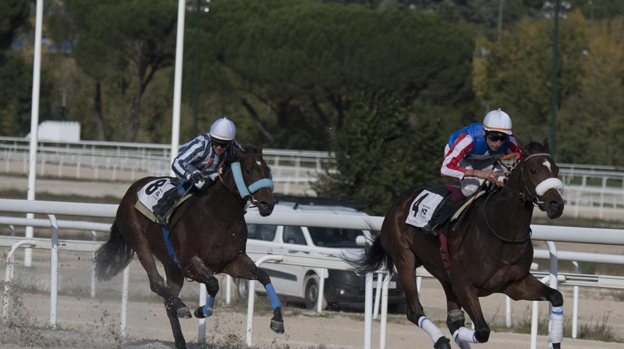 Carrera de caballos en el Hipódromo de la Zarzuela