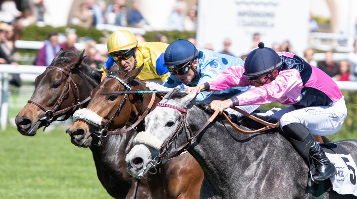 Carreras de caballos en el Hipódromo de la Zarzuela