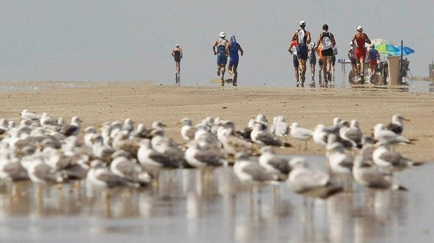 Abierta la inscripción para participar en la décima edición del Desafío Doñana