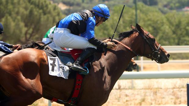 «Putumayo» vence en el Premio Rheffissimo, tras una medida monta de Jaime Gelabert