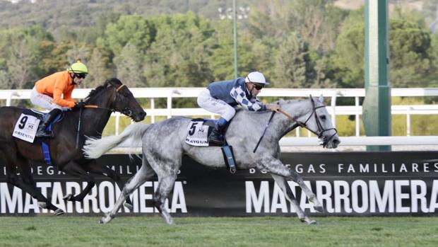 Bayoun rompe el crono en el Gran Premio Carudel