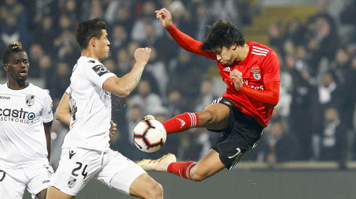 El Benfica hace pública la oferta del Atlético por Joao Félix: 126 millones de euros