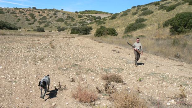 La Oficina Nacional de Caza reclama al Defensor del Pueblo que garantice esta actividad en Castilla y León