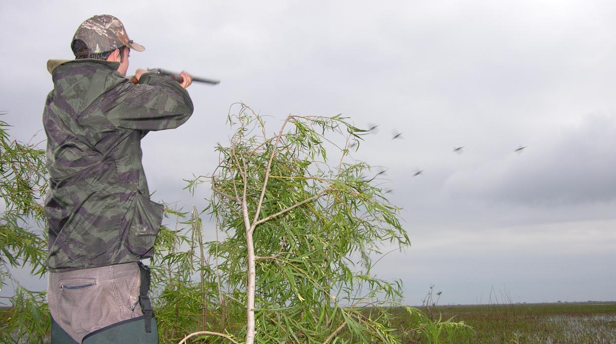 El crepúsculo de la caza de aves acuáticas