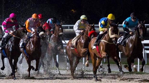 Última noche de emociones en el Hipódromo de la Zarzuela