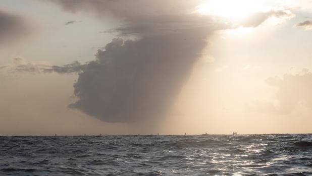 Posible salida de la Mini Transat el próximo sábado