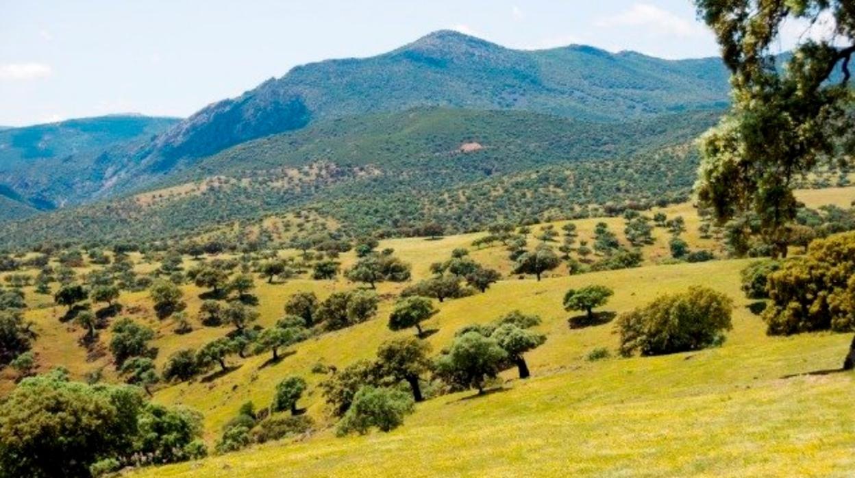 Valle de Alcudia: de Fuencaliente a Almadén, la
Sierra Morena manchega