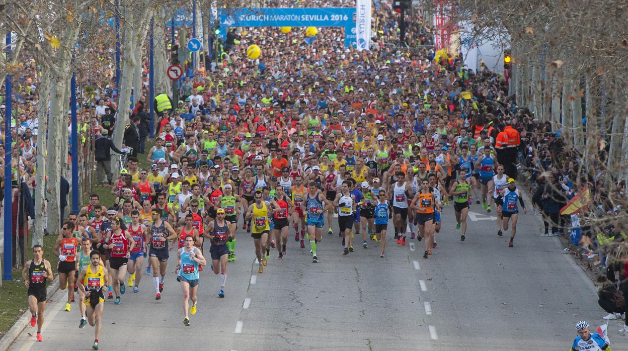 El Zurich Maratón de Sevilla en 2016