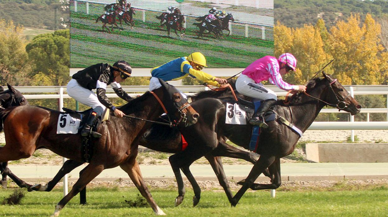 Andía, ganando el Premio Infanta Isabel