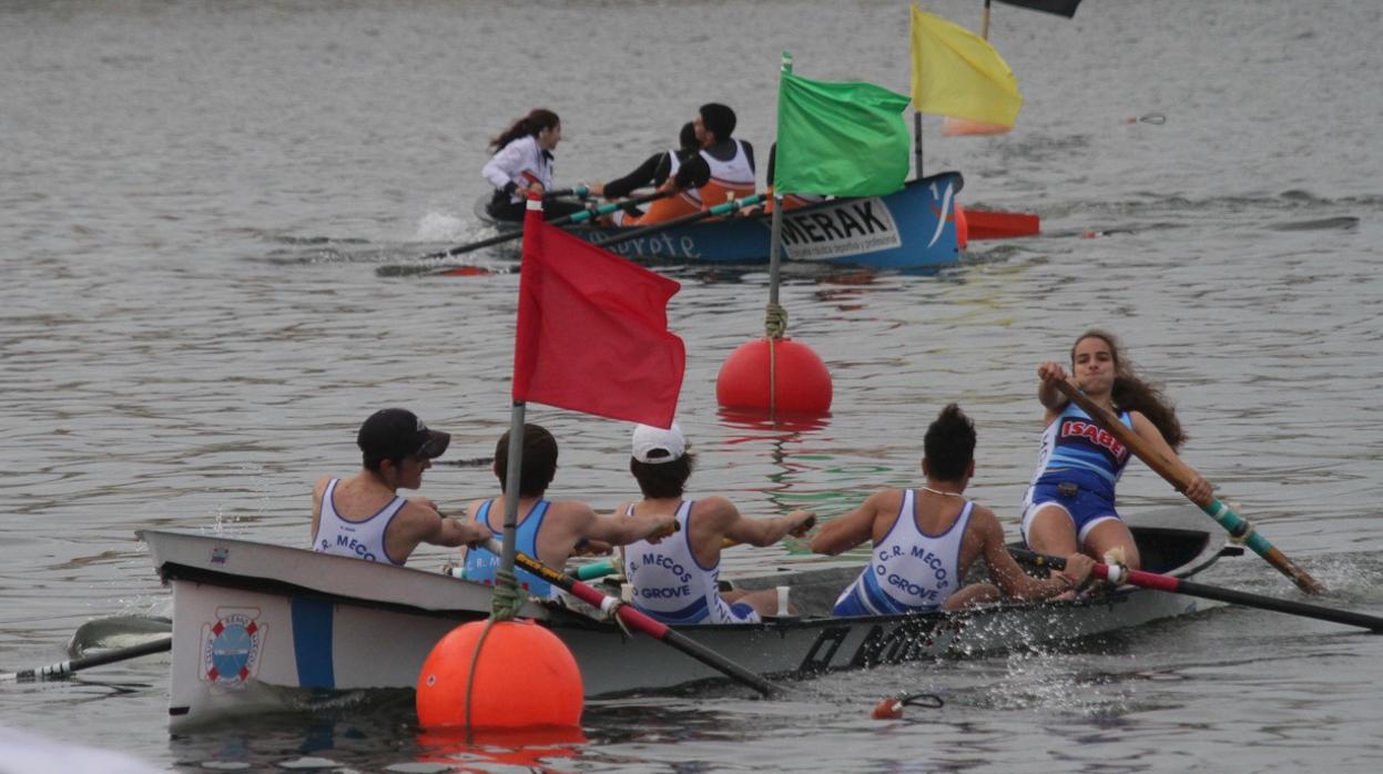 Gran participación femenina en la Copa de Galicia de Remo