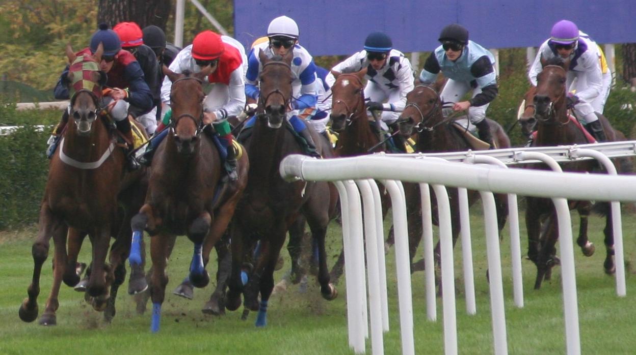 &#039;Dom Alvaro&#039; y &#039;Furioso&#039;, favoritos en el Gran Premio Nacional y Premio Fernando Melchor