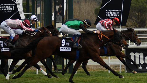 Gran victoria de «Resacón» en el Gran Premio Antonio Blasco