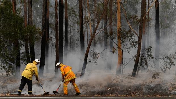 El Open de Australia, en alerta por los incendios