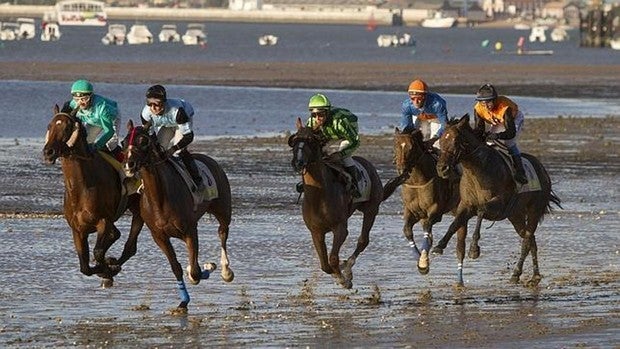 Medalla de oro de Andalucía para Joaquín y la Real Sociedad de Carreras de Caballos de Sanlúcar