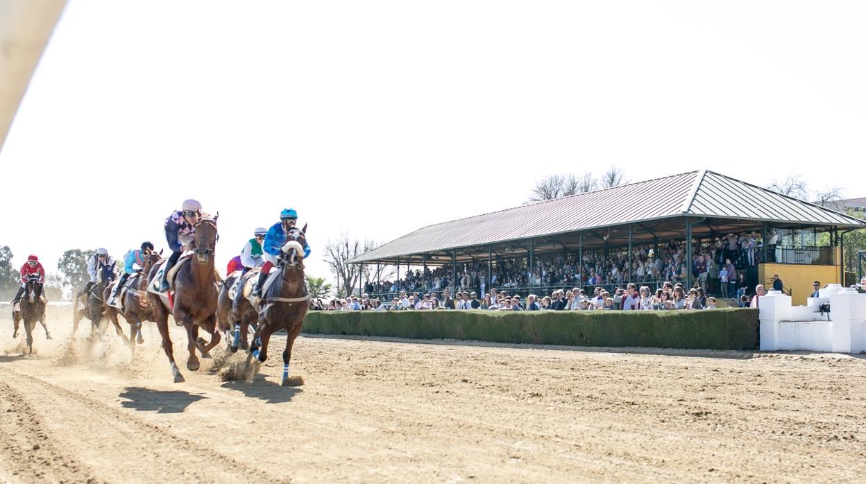 Carrera de caballos