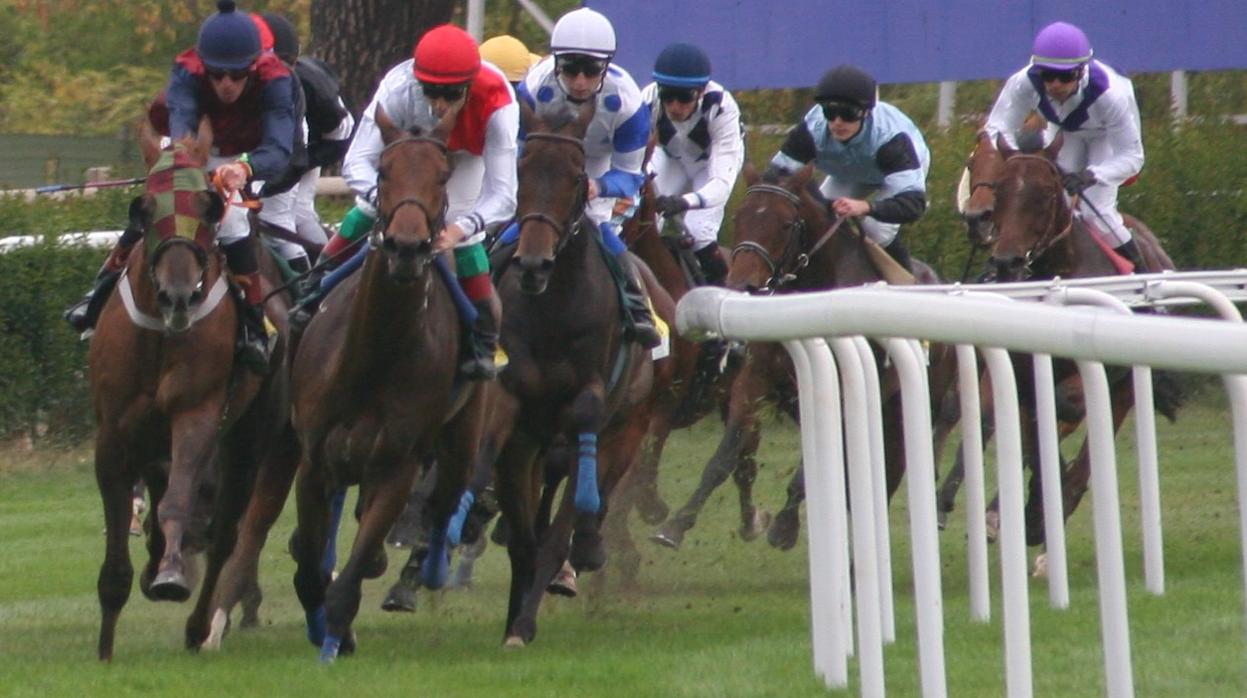 El domingo, segunda jornada de la Temporada de Primavera en el Hipódromo de la Zarzuela