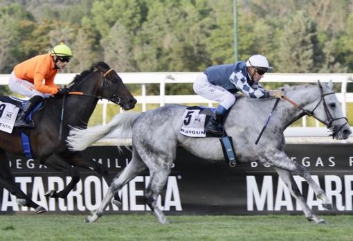 Gran Premio Claudio Carudel 2019