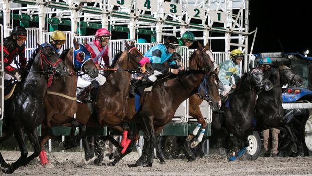 Un verano más, vuelven «Las noches del Hipódromo»