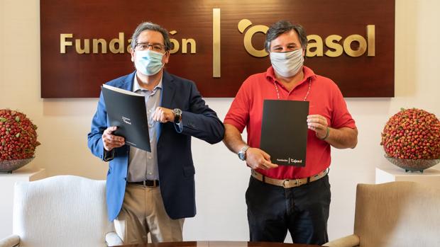 La Fundación Cajasol renueva su compromiso con el Ciencias Club de Rugby una temporada más