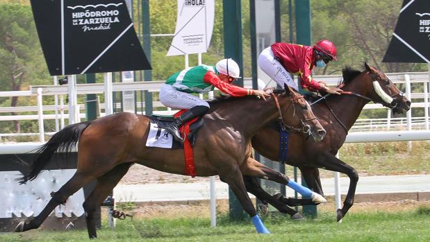 «Noray», con una espectacular monta de Nieves García, vence de punta a punta en el «Gran Premio Duque de Alburquerque»