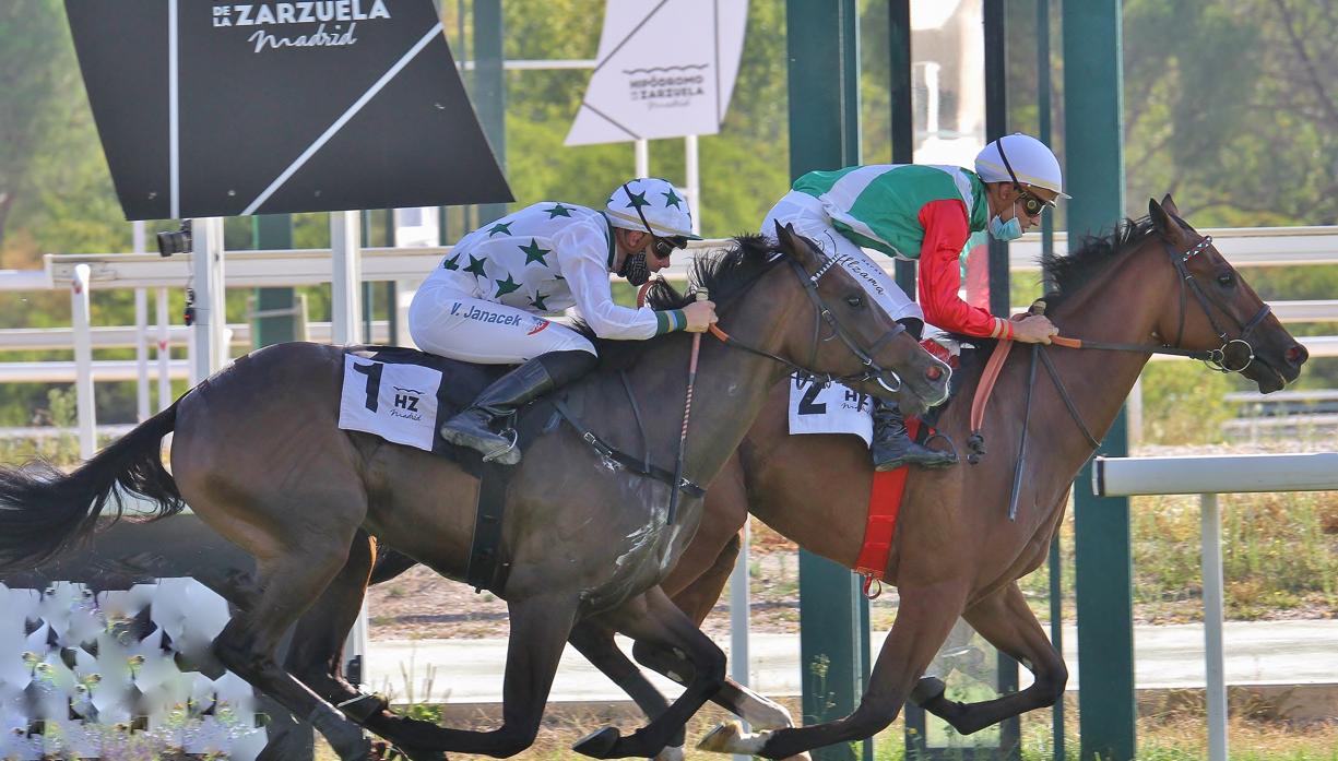 Carreras de caballos en el Hipódromo de la Zarzuela