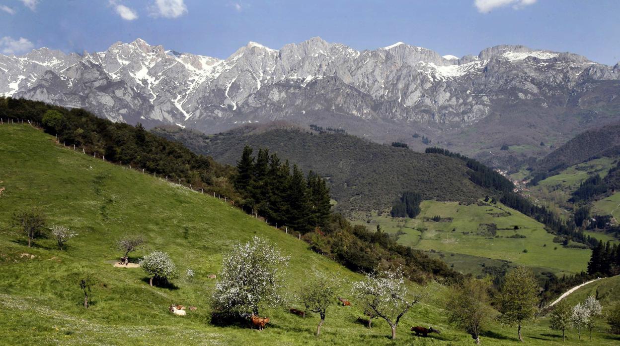 Vista del Parque Natural de Picos de Europa desde Liébana (Cantabria)