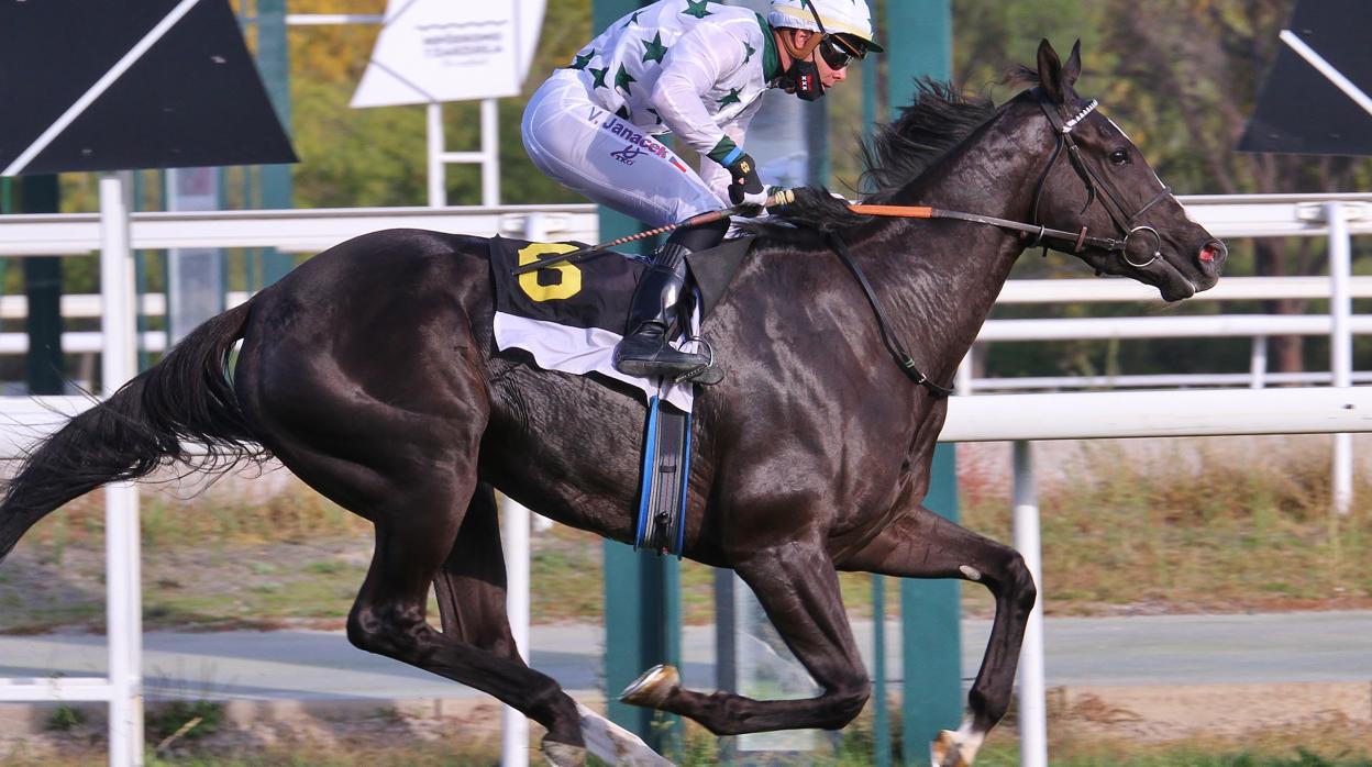 Dajla, ganadora de la cuarta carrera de la jornada