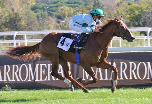 "FOSFORESCENCIA" 1ª CARRERA "PREMIO CRÍA NACIONAL - SHERMAN"