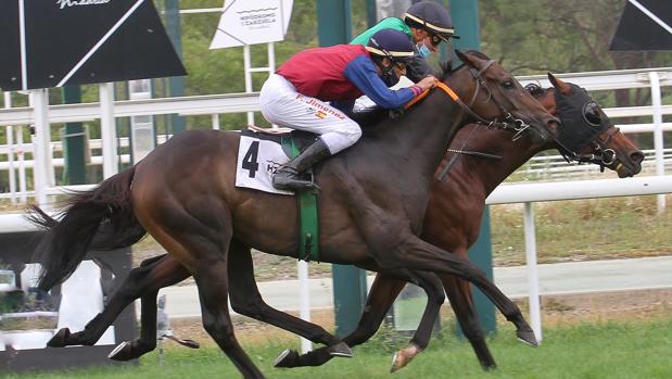 Última cita con los 'afterwork' de los viernes en el hipódromo de Madrid