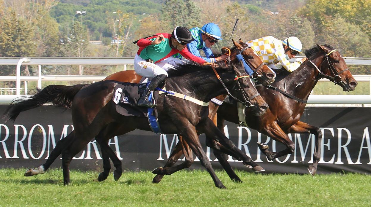 My Flinders, ganador del Gran Premio 79 Aniversario de la Zarzuela