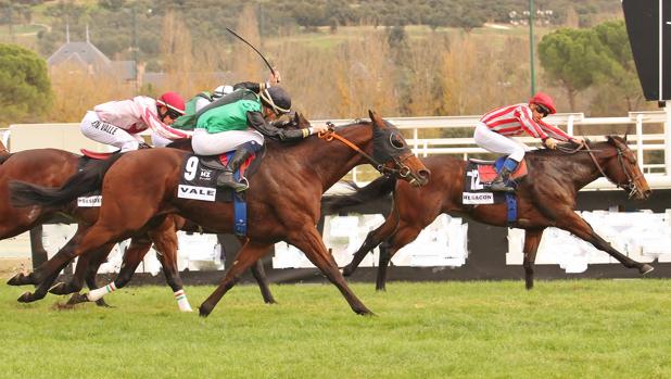 «Rodaballo» destaca como favorito en el Gran Premio Antonio Blasco