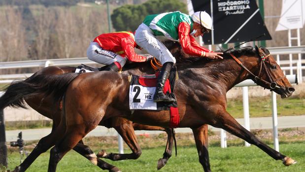 «Emin», mejor fondista de nuestro turf, dobla victoria en el Premio Entre Copas-Gladiateur