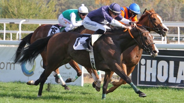 El Hipódromo de Madrid, tu cita del domingo