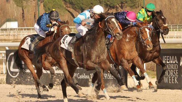 Planazo en el Hipódromo de la Zarzuela con la III Edición del 'Family Day Navidad'